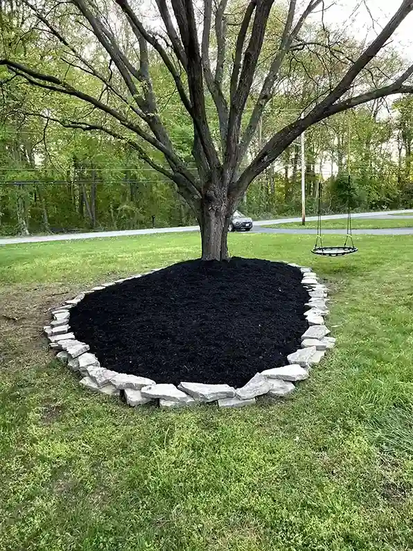 Better Way Land Management LLC freshly mulched tree ring with decorative stone border in residential lawn setting