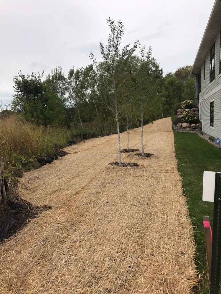 Better Way Land Management LLC installed erosion control blanket with newly planted aspen trees along residential slope in Ohio